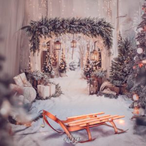Les séances de Noël sont ouvertes !